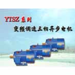 YTSZ系列冶金及起重用變頻調(diào)速三相異步電機(jī)