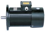 YBPT數(shù)控鉆銑床專用電機(jī)