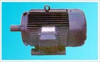 Y系列三相異步電動(dòng)機(jī)