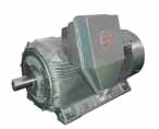 佳木斯 YB2系列隔爆型低壓大功率三相異步電動(dòng)機(jī)