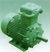 萬(wàn)高 YB系列隔爆型電動(dòng)機(jī)