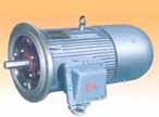萬(wàn)高 DSB系列隔爆型電動(dòng)機(jī)