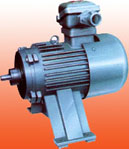 萬(wàn)高 YBJa系列絞車用隔爆電動(dòng)機(jī)