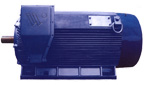 萬(wàn)高 YJK系列10KV、IP44（IP54）高壓電機(jī)