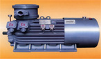 萬高 YB355-450隔爆型高壓三相異步電動(dòng)機(jī)