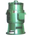 東方 JSL系列立式三相鼠籠型異步電動機