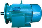 臥龍電氣 YZS系列注塑機(jī)用三相異步電動機(jī)