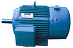 臥龍電氣 YVP系列水洗機(jī)用變頻調(diào)速三相異步電動機(jī)