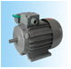 盟利電機(jī) YY系列單相電容運(yùn)轉(zhuǎn)異步電動(dòng)機(jī)