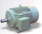 柳州佳力 Y2系列三相異步電動機(jī)