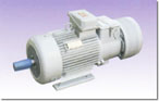 宏泰 YZRW系列 異步電動(dòng)機(jī)