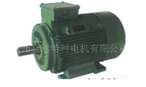 金達(dá) yze、yzre系列起重及冶金用電磁制動(dòng)三相異步電機(jī)