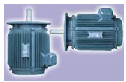 嘉信 YDL系列電動(dòng)機(jī)