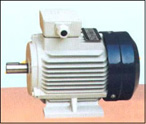 海日電機(jī) Y2系列三相異步電動(dòng)機(jī)