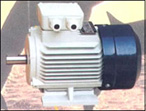 威靈清江 電磁制動(dòng)電機(jī)