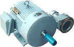 藍(lán)翔機(jī)電 TYFX系列永磁變頻調(diào)速三相同步電動機(jī)