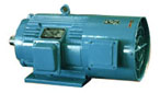 藍(lán)翔機(jī)電 YTSZ系列冶金及起重用變頻調(diào)速三相異步電動(dòng)機(jī)