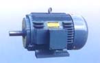 永發(fā)機(jī)電 NEMA標(biāo)準(zhǔn)高效三相異步電動(dòng)機(jī)（143T-505T）