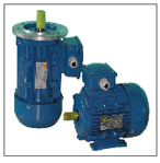 達(dá)順機(jī)電 LK系列通用異步電機(jī)