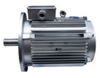新動(dòng)力 電動(dòng)車(chē)輛牽引電機(jī)