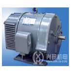 興瑪 Z2系列小型直流電機(jī)
