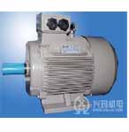 興瑪 NEMA系列三相異步電動機
