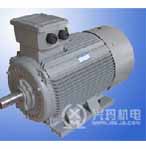 興瑪 Y2系列（IP54）三相異步電動機