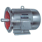 Y系列三相異步電動(dòng)機(jī)