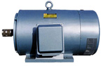 山東紅衛(wèi) Y315（IP23）三相異步電動機(jī)