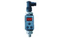 PFT-300壓力繼電器（壓力開(kāi)關(guān)）