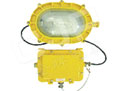 金牌電器 J-BFE8120內(nèi)場(chǎng)防爆應(yīng)急燈