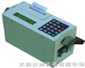 大連計測機(jī)器 TDS-100P便攜式超聲波流量計