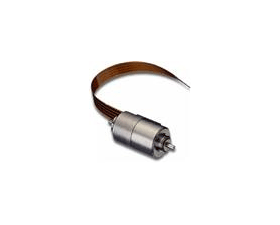 Portescap 渦輪盤步進電機 P010