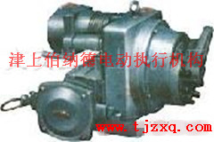 津上伯納德電動(dòng)執(zhí)行機(jī)構(gòu)